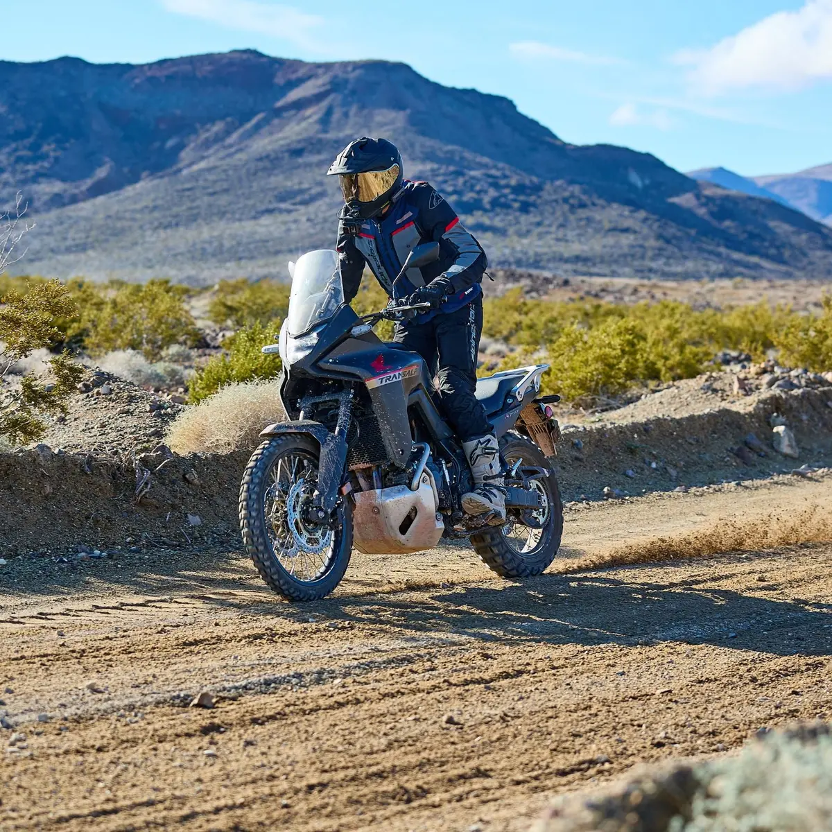 Shoei Hornet X2 Solid Adv/Dualsport Helmet 11