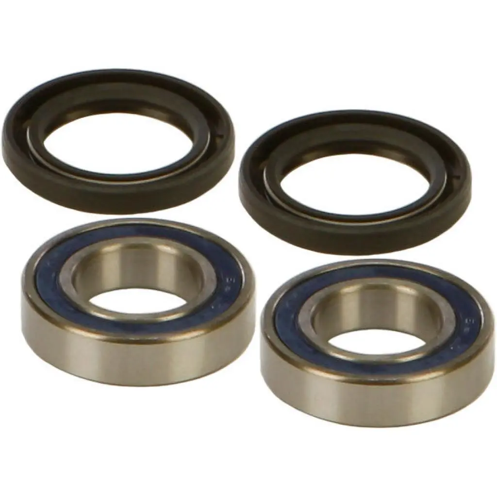All Balls Wheel Bearing & Seal Kit | 25-1079 1