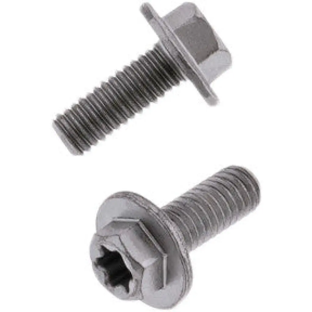 Bolt Euro Torx Large Flange Bolt 6X.1.0X15mm 10/Pk | 024-70615 1