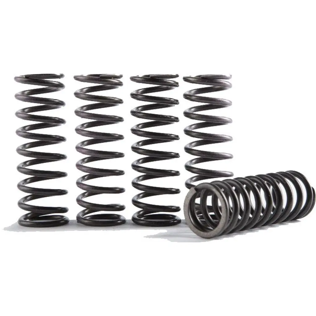 Hinson 5Pc Hi-Temp Clutch Springs | Cs341-5-0415 1