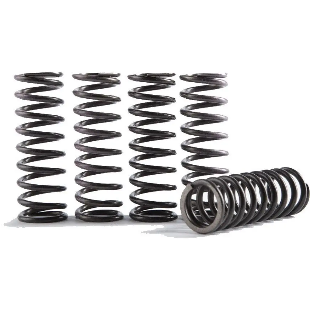 Hinson 6Pc Hi-Temp Clutch Springs | Cs189-6-0613 1