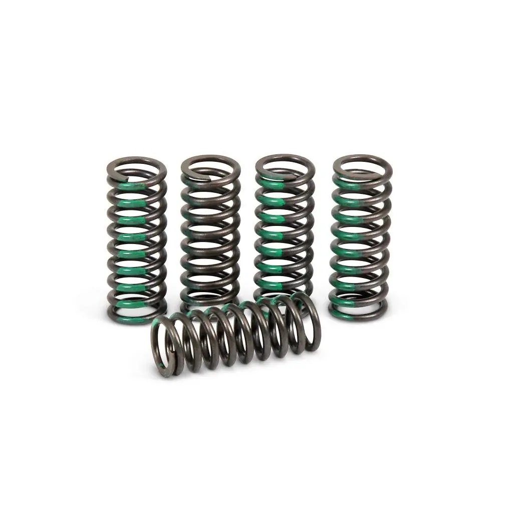 Pro Circuit High Performance Clutch Springs 2003-20 Kaw/Suz 125-250Cc | Csk10250-Cs 1