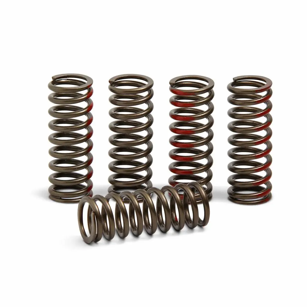 Pro Circuit High Performance Clutch Springs 2018 Honda Crf250r | Csh18250-Cs 1