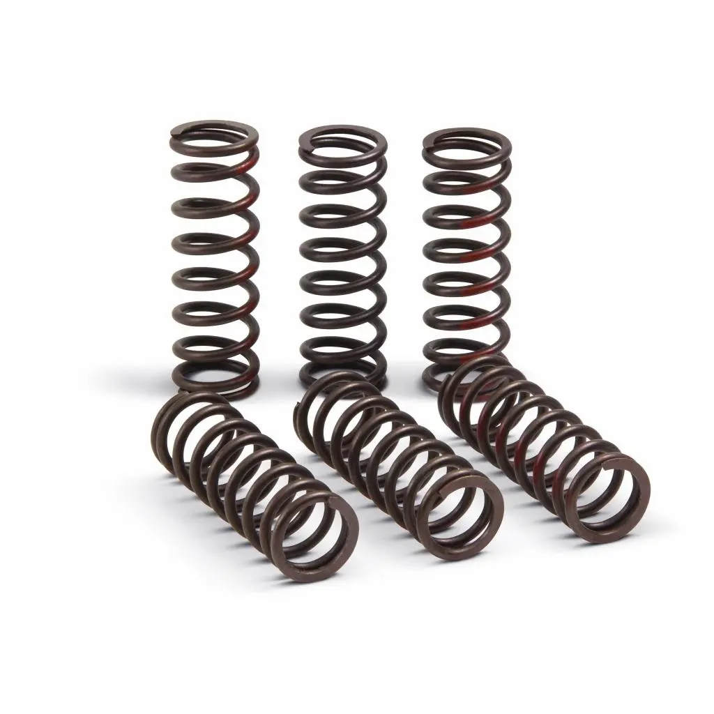 Pro Circuit High Performance Clutch Springs 2021 Honda Crf450r | Csh21450-Cs 1
