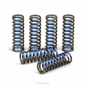 Pro Circuit High Performance Clutch Springs For Yamaha Yz450f (05-09) | Csy06450 1