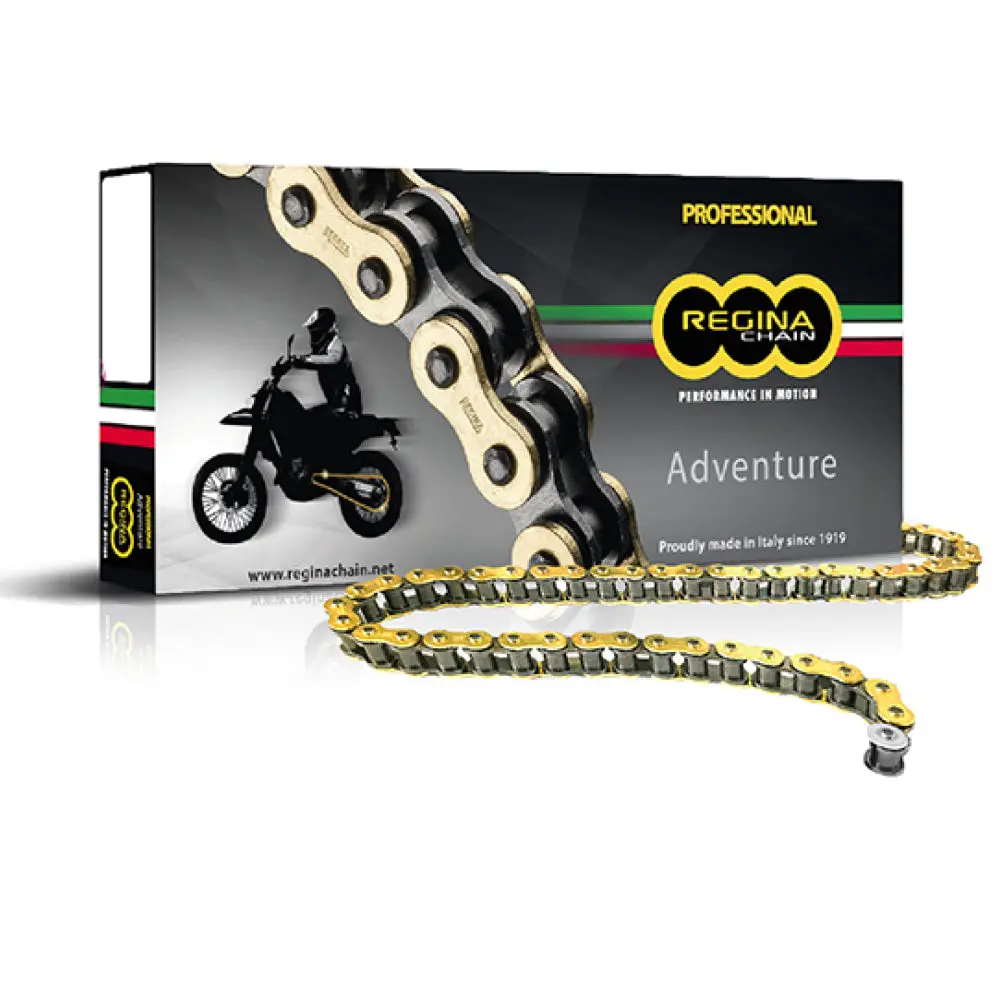 Regina Zre Z-Ring Adventure 525 Gold Chain 1